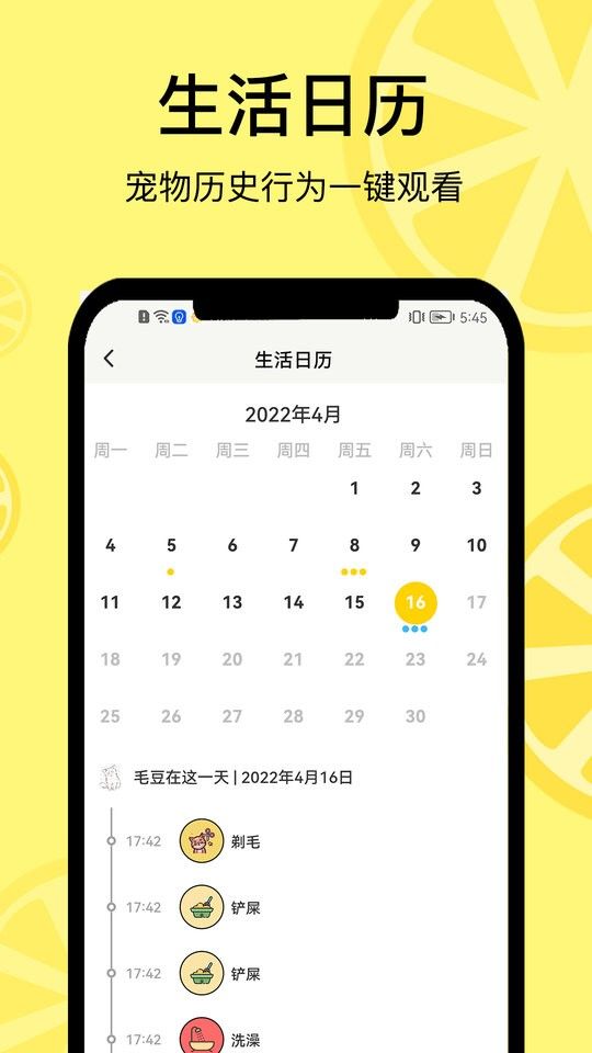 宠日常app下载