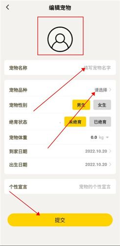 宠日常app使用教程3