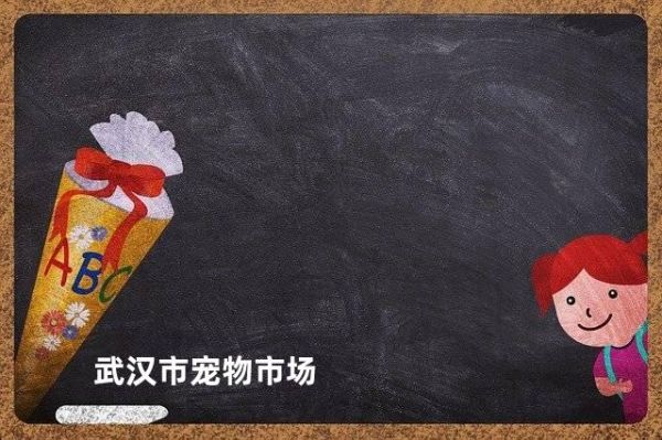 武汉市宠物市场