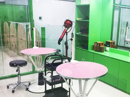 宜宾开宠物店好不好