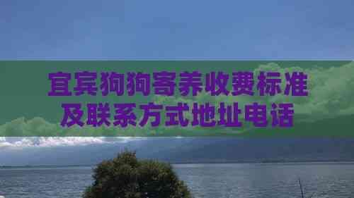 宜宾狗狗寄养收费标准及联系方式地址电话