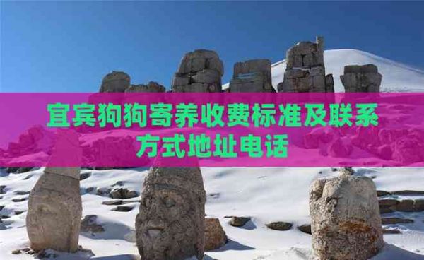 宜宾狗狗寄养收费标准及联系方式地址电话