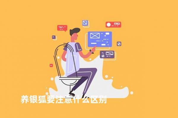 养银狐要注意什么区别