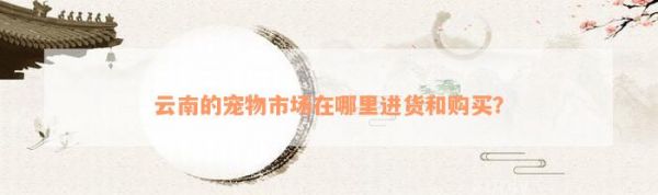 云南的宠物市场在哪里进货和购买？