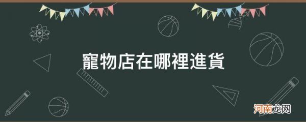 宠物店在哪里进货_宠物店去哪里进货