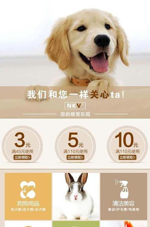宠物用品批发进货渠道电商有哪些平台（宠物用品货源渠道）