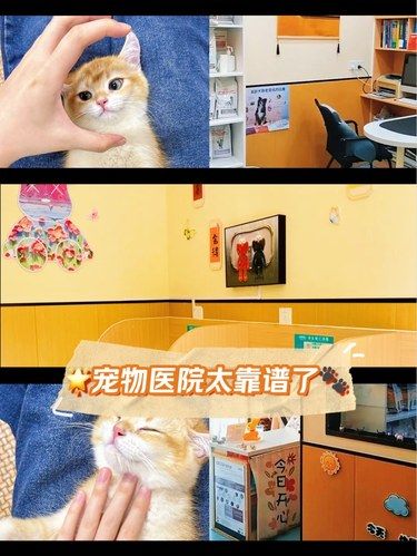 宠物医院太靠谱了