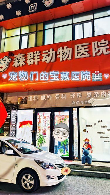 香山路的这家宝藏宠物医院了