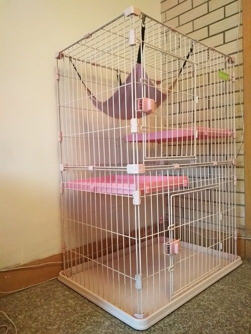 一、宠物笼与展示架的选择