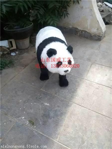 仿真动物模型静态动物模型新款仿真动物