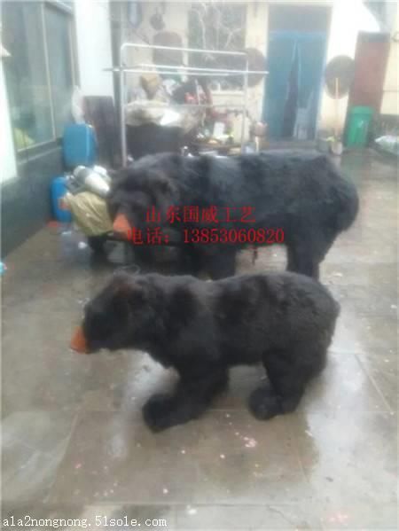 仿真动物模型静态动物模型新款仿真动物