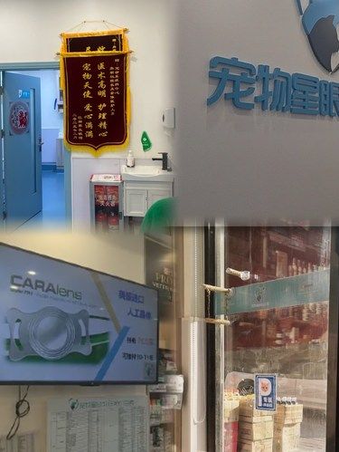 没想到这家小众宠物专科这么靠谱！医生一眼看出