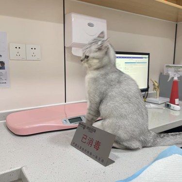 苏州博龙宠物医院