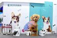 2020中国国际宠物医疗及连锁加盟展览会