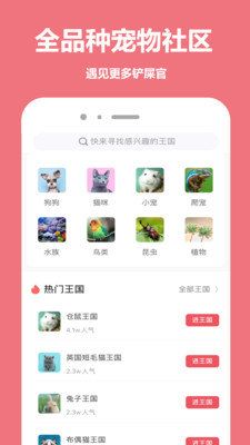 宠物王国