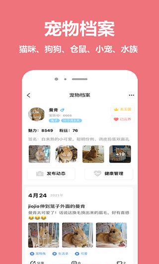 宠物王国APP亮点