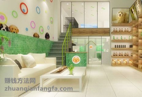开宠物店赚钱