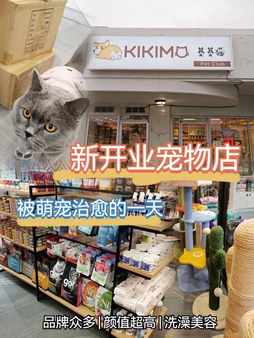 在上海开一家宠物店（上海开一家宠物店赚钱吗）