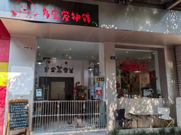 在上海开一家宠物店（上海开一家宠物店赚钱吗）
