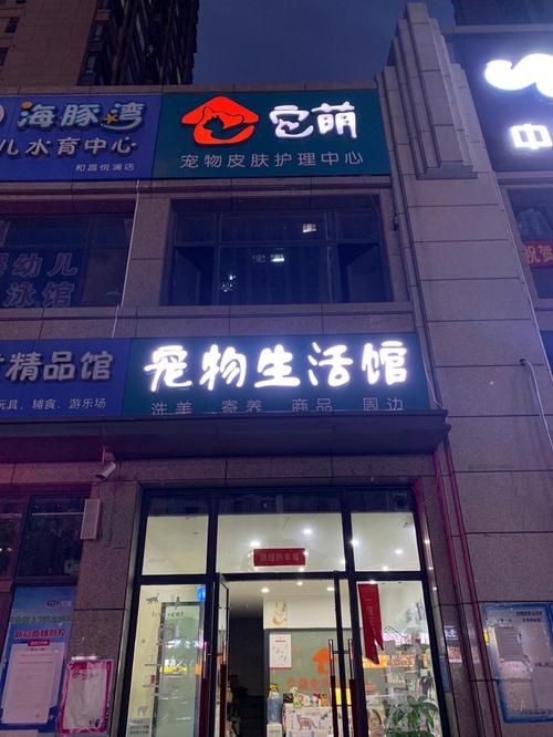 在上海开一家宠物店（上海开一家宠物店赚钱吗）