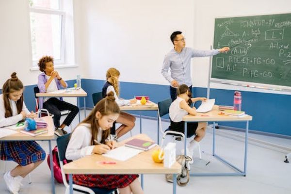 2024年大学校宠有哪些