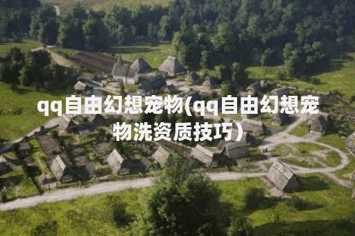 qq自由幻想宠物(qq自由幻想宠物洗资质技巧）