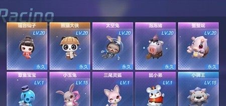 跑跑卡丁车手游哪些是普通宠物?