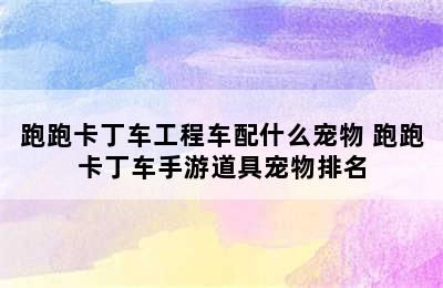 跑跑卡丁车工程车配什么宠物 跑跑卡丁车手游道具宠物排名
