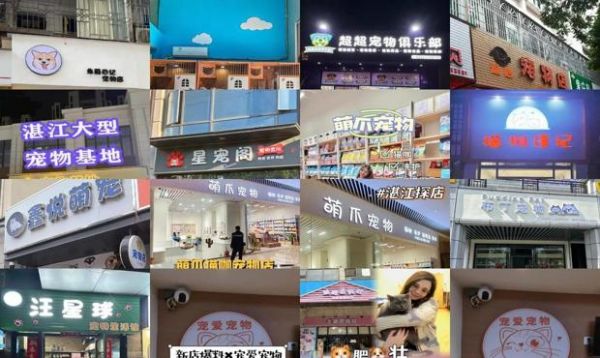 湛江宠物店
