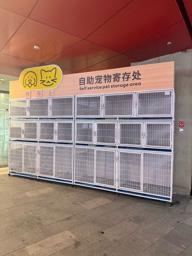 宜家为什么突然宠物不友好了？