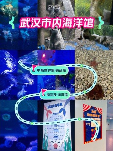 徐东销品茂室内的海洋馆太适合夏天啦！！