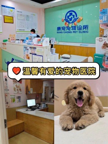 温馨有爱的宠物医院推荐｜言行举止都感觉爱
