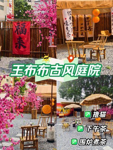 被问爆的古风撸猫庭院！亲子遛娃治愈天花板