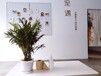 郑州宠物火化宠物殡葬宠物无害化处理宠物火化