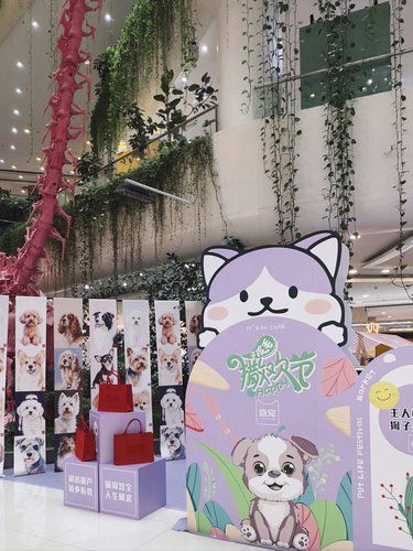 铲屎官速集合！凯德MALL大峡谷毛孩子撒欢啦
