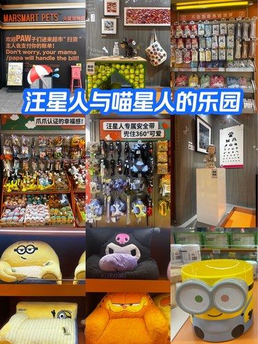 为爱宠购物，就来这家宝藏小店