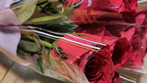 南京夫子庙现“花朵刺客”？管委会：将联合开展专项整治