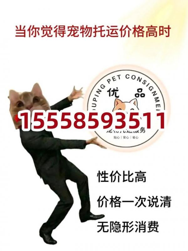 菏泽宠物托运：轻松解决出行难题！-有驾