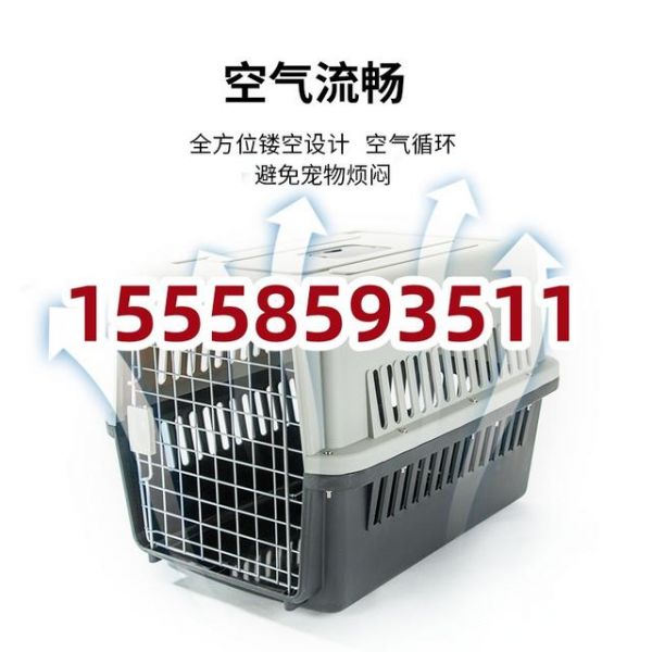 菏泽宠物托运：轻松解决出行难题！-有驾