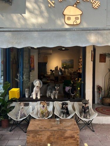 你值得拥有快乐的小狗咖啡店