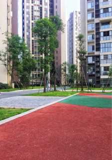 月南风, Pet Boarder in 成都市