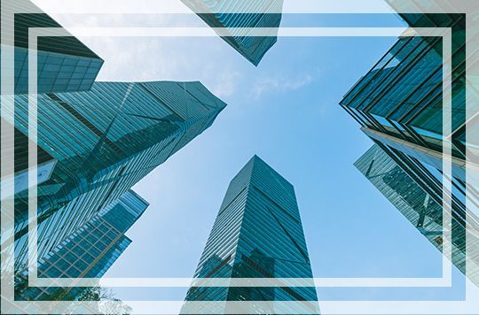 进口狗粮该如何挑选才更适合您的爱犬？ - 金评媒