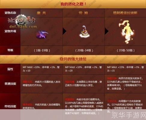 DNF宠物进化全解析：打造最强战斗伙伴