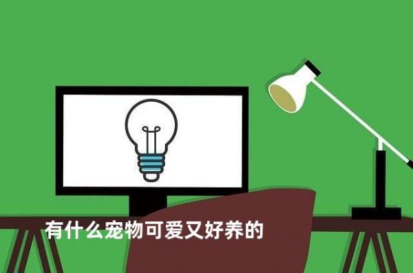 有什么宠物可爱又好养的