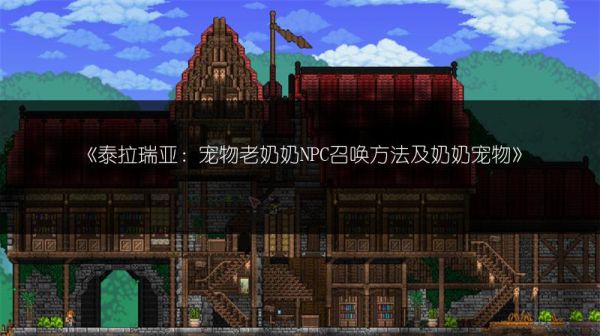 《泰拉瑞亚：宠物老奶奶NPC召唤方法及奶奶宠物》