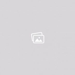 宠物猫火化价格 漯河宠物火化 洛善宠物善后服务