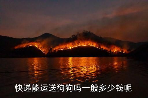 快递能运送狗狗吗一般多少钱呢