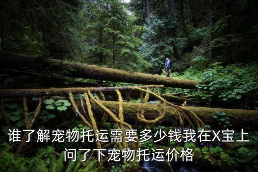 谁了解宠物托运需要多少钱我在X宝上问了下宠物托运价格