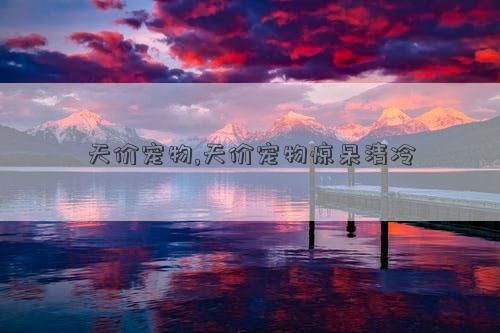 天价宠物,天价宠物惊呆清冷