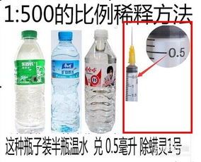 宠物常见皮肤病盘点:真菌、螨虫、湿疹等。